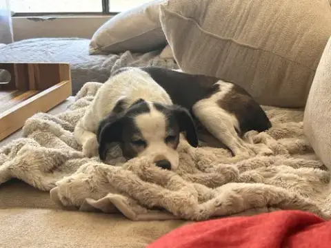 Jack #11 photo 5