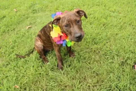 Missy photo 2