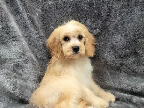 Butters photo 3