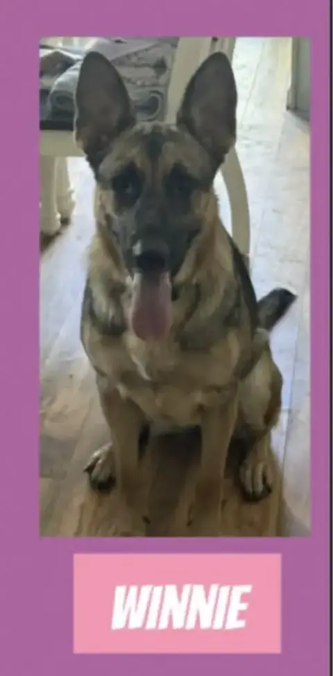 Winnie In Ri