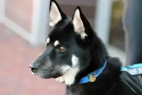 Melo photo 4