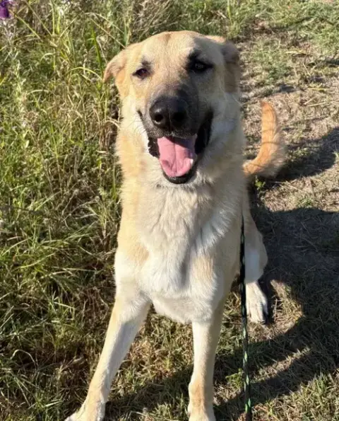 Champ photo 3