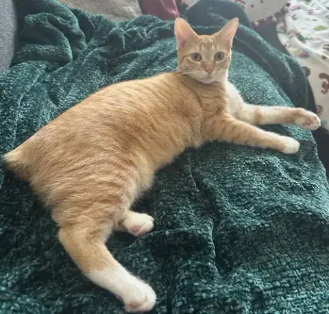Cheeto #Bestie-Of-Cheets photo 5