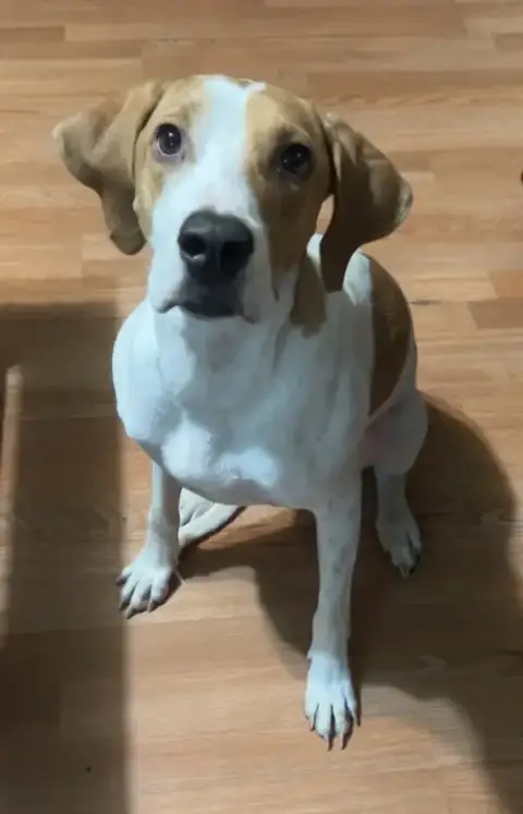 Bailey