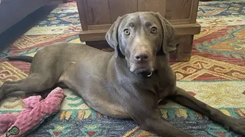 Ella Mae Roo photo 4