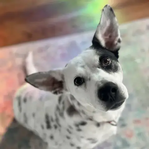 Nora
