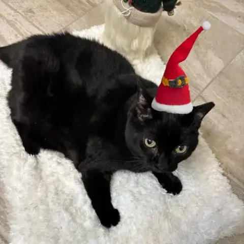 Mama