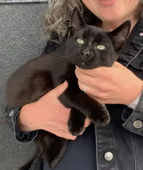 Panther & Pepper photo 5
