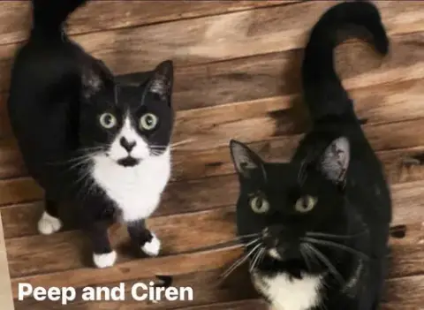 Ciren photo 5