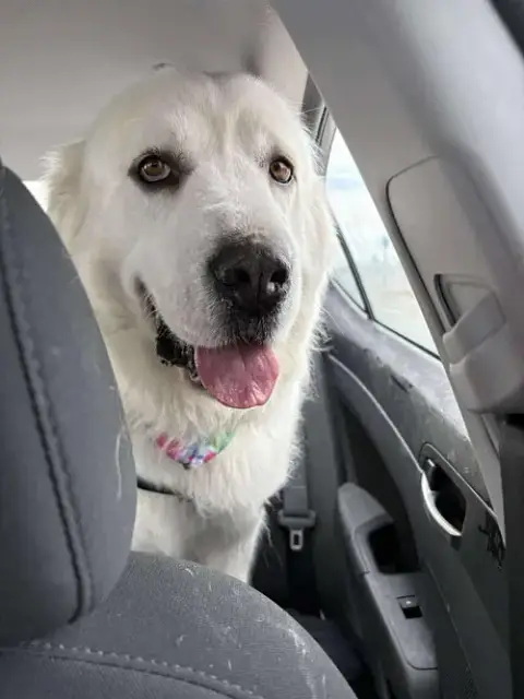 Miss Lucy photo 4