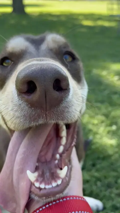Oakley photo 3