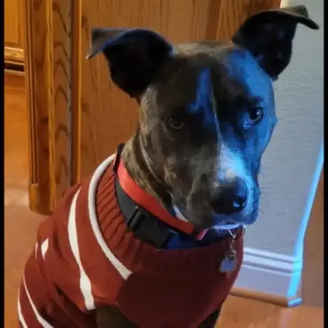 Jack Barkley