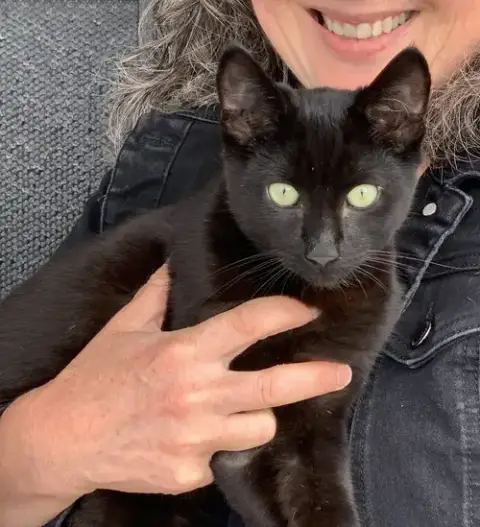 Panther & Pepper