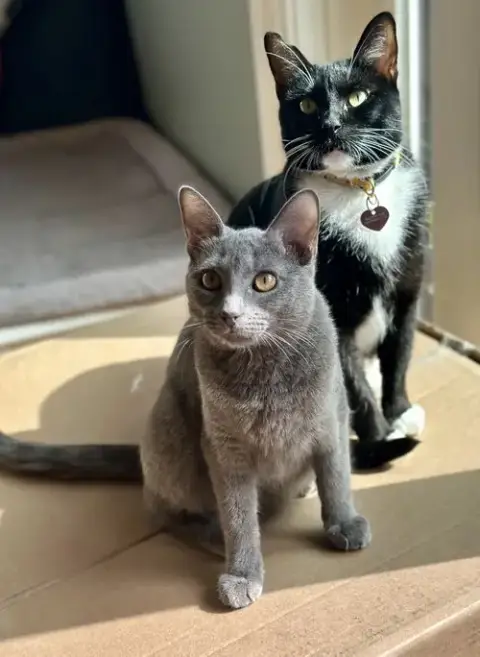 Misty And Mama Bella photo 3