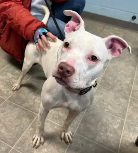 Rainbow Brite: Not At The Shelter photo 4