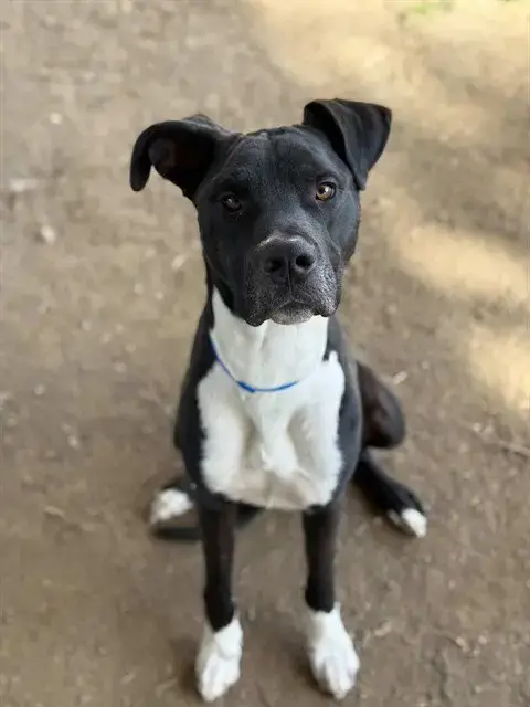 Danny
