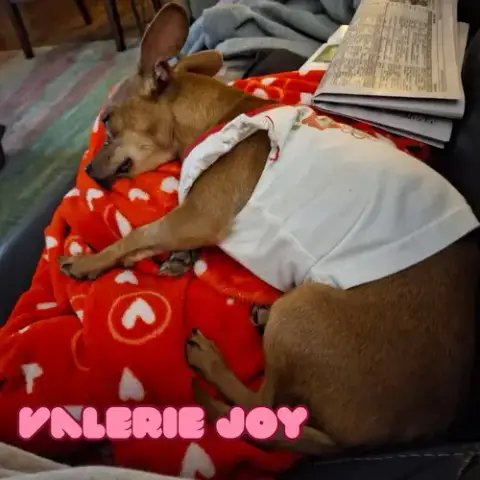 Valerie Joy photo 2
