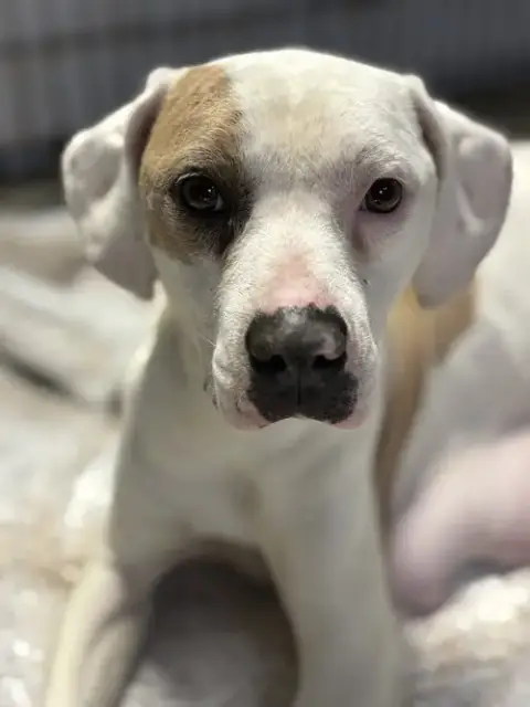 Lilly Aka Mama Queen photo 4