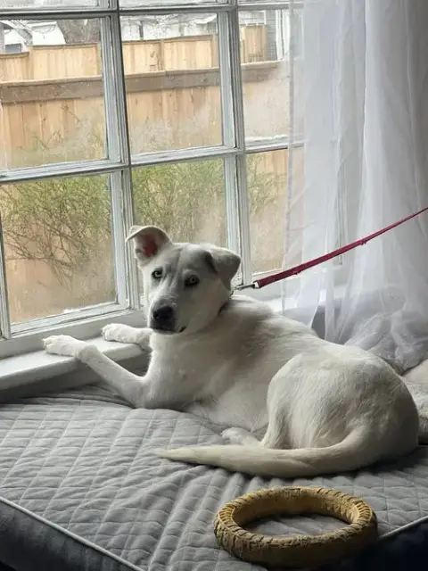 Noelle photo 1