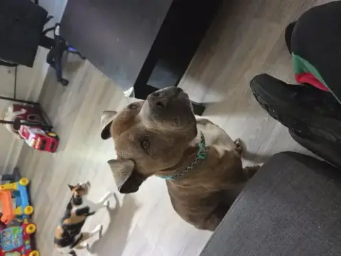 Zeus photo 4