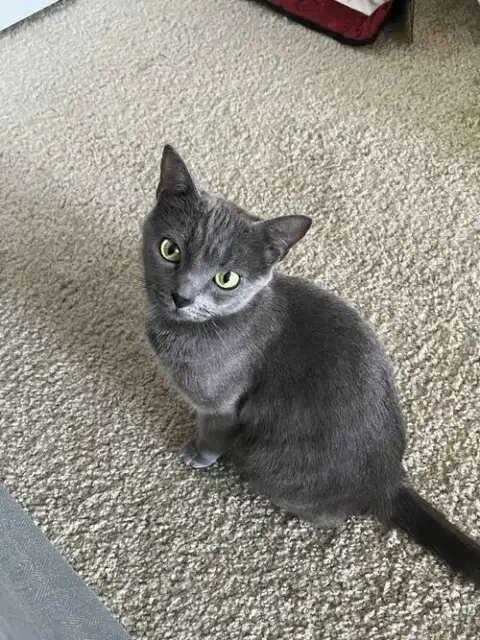 Nelly photo 2