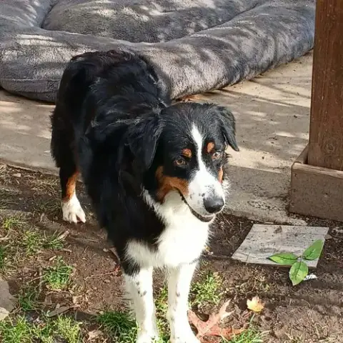 Mama Maggie photo 2