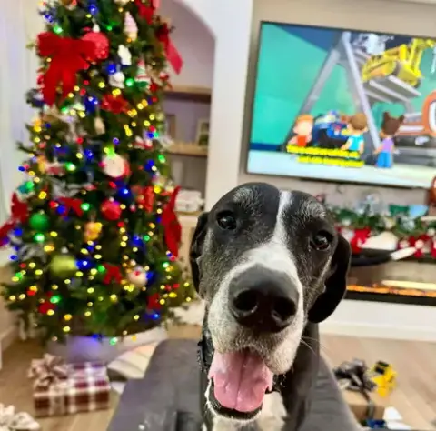 Milo photo 4