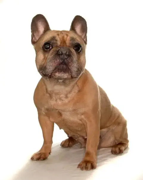 Fiona photo 2