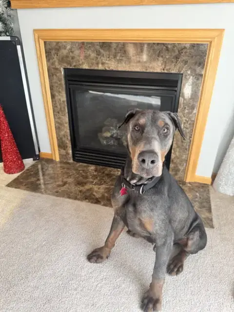 Roscoe photo 4
