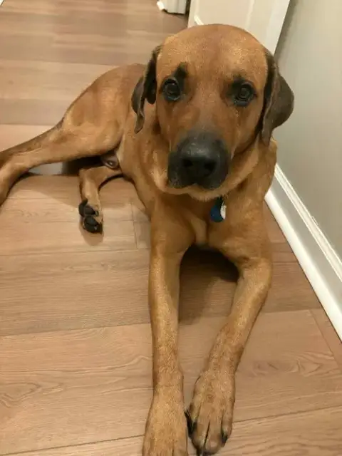 Tucker photo 2