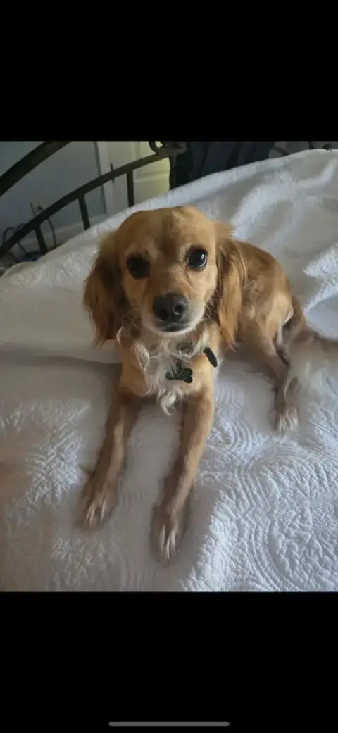 Bella photo 4