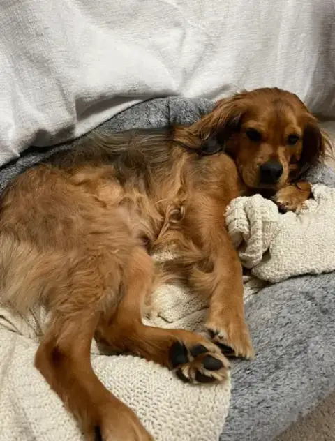 Penny In Ri photo 5