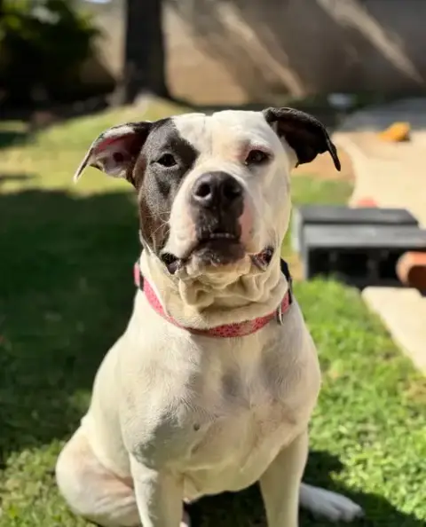 Ethel photo 4