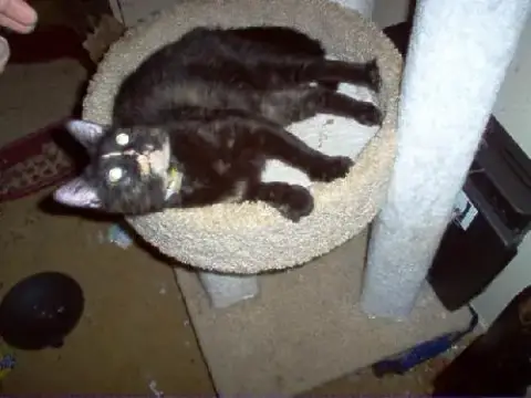 Ariel photo 2