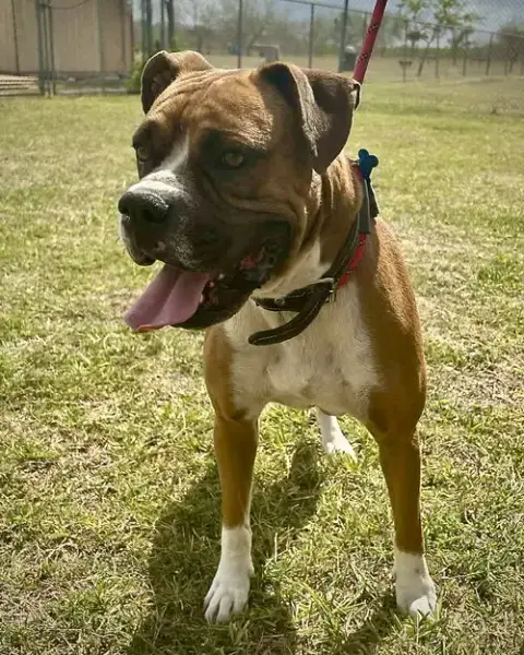 Thor photo 2
