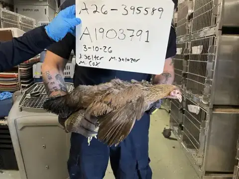 A1903791