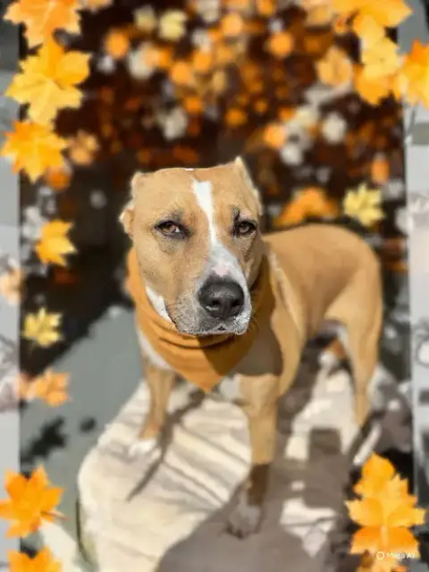 Darla photo 2