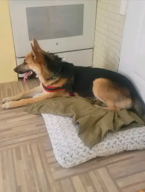 Niko photo 2