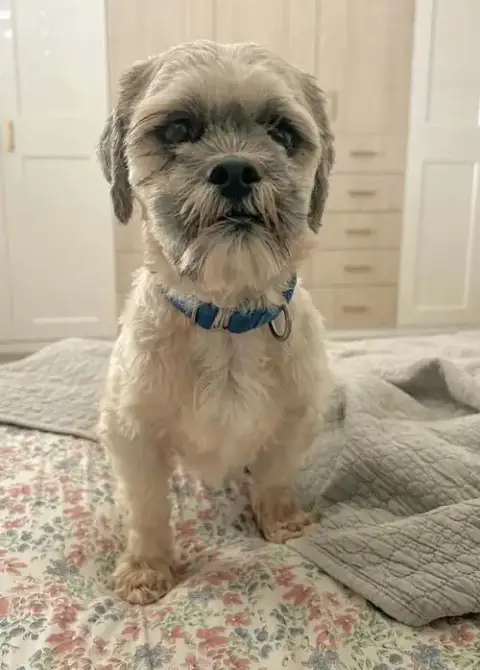 Oskar photo 1