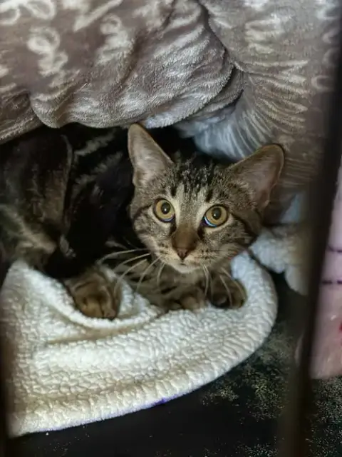 Freya photo 4