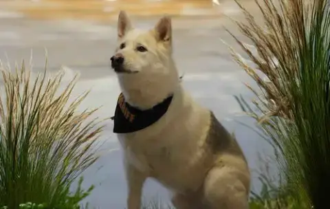 Jax photo 2