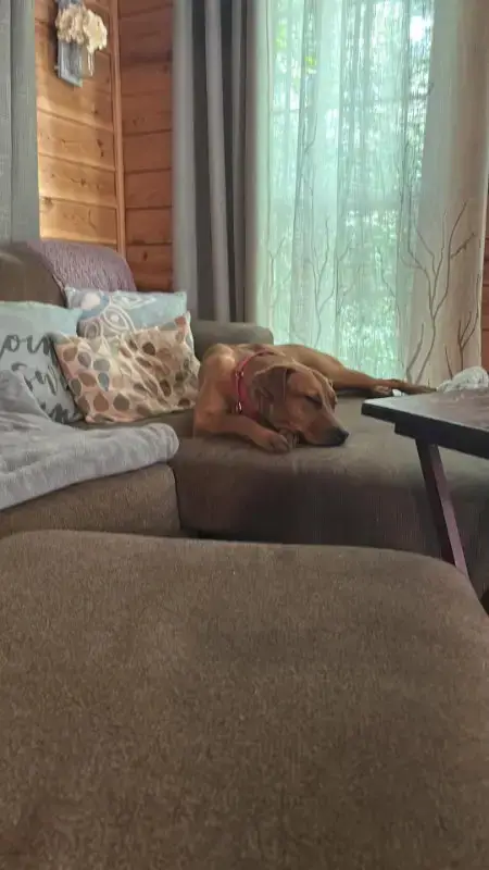 Penny photo 4