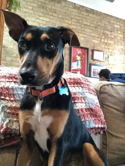 Winnie photo 3
