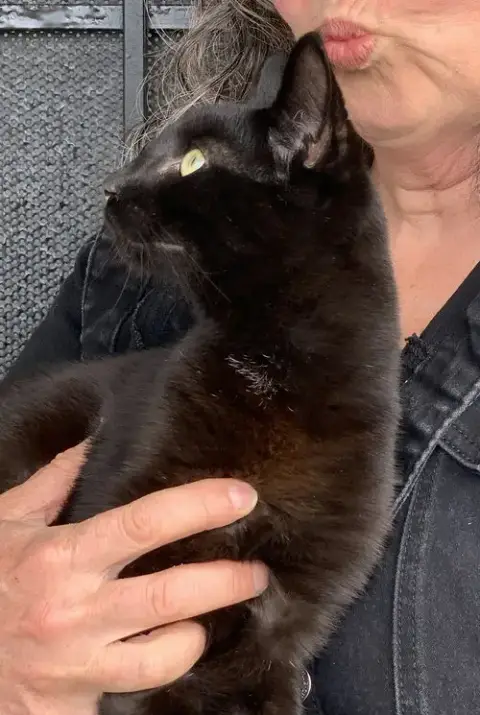 Panther & Pepper photo 3
