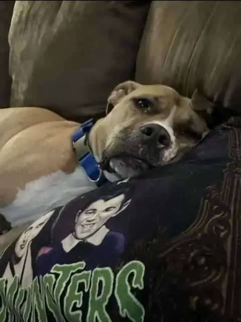 Leela photo 2