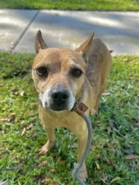 Paco photo 2