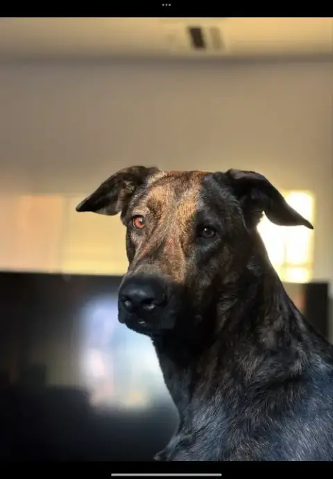 Xena photo 3