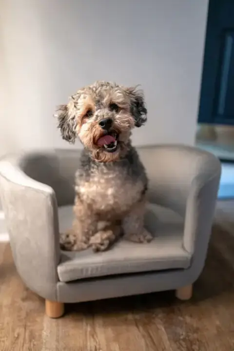 Bentley photo 4
