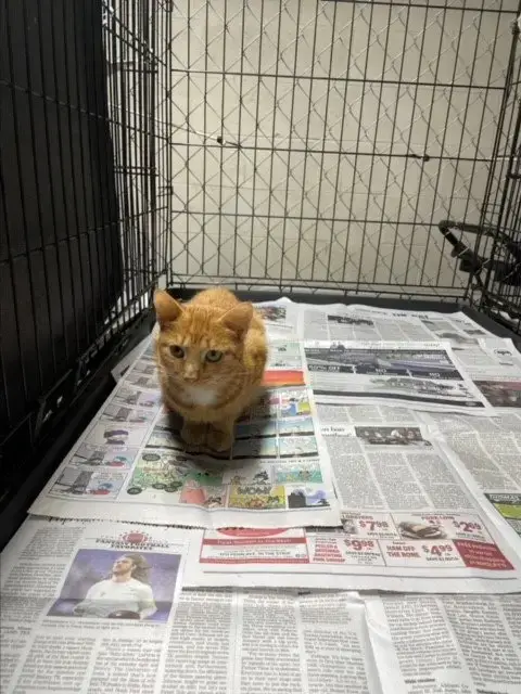 Sabrina