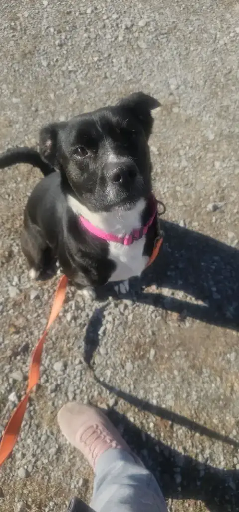 Molly photo 2